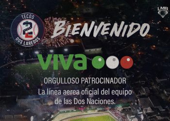 Liga Mexicana de Beisbol, Sitio Oficial